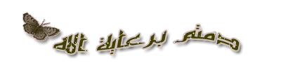 56527810.gif