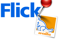 flickwalla-logo.png