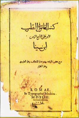 k_qano10.jpg